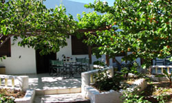 sunrise apartments yard 2